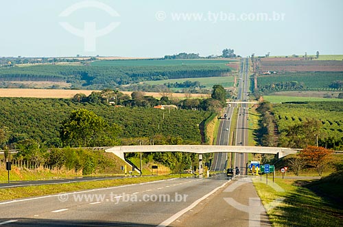  Snippet of SP-340 Highway - near to Casa Branca city  - Casa Branca city - Sao Paulo state (SP) - Brazil