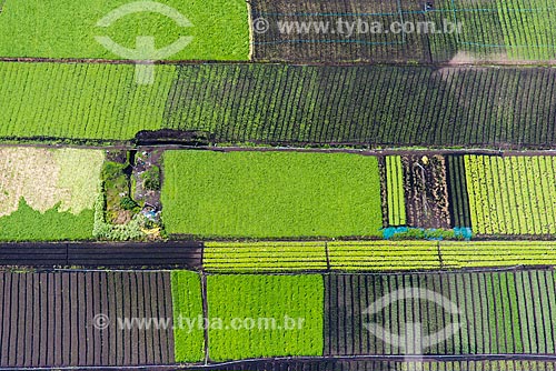  Aerial photo of kitchen gardens - greenbelt of Mogi das Cruzes city  - Mogi das Cruzes city - Sao Paulo state (SP) - Brazil