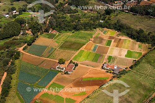  Aerial photo of kitchen gardens - greenbelt of Guarulhos city  - Guarulhos city - Sao Paulo state (SP) - Brazil