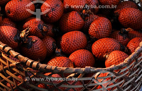  Basket with the fruit of buriti  - Manaus city - Amazonas state (AM) - Brazil