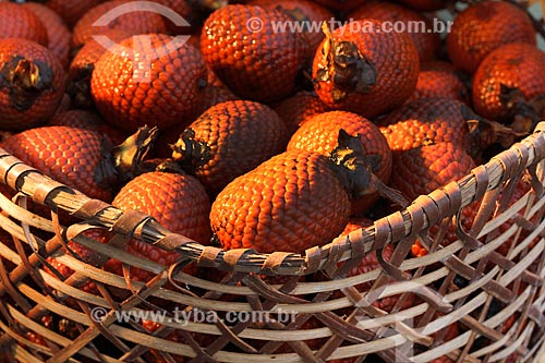  Basket with the fruit of buriti  - Manaus city - Amazonas state (AM) - Brazil