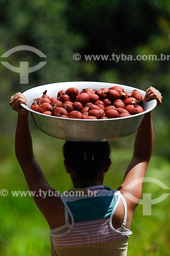  Woman carrying bowl with buritis  - Manaus city - Amazonas state (AM) - Brazil