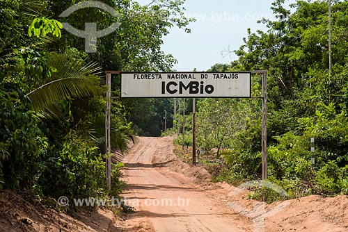  Portico of Tapajos National Forest  - Belterra city - Para state (PA) - Brazil