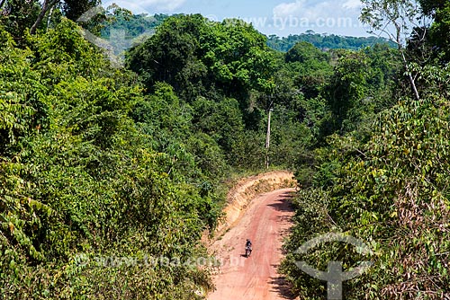  Dirt road - Tapajos National Forest  - Belterra city - Para state (PA) - Brazil