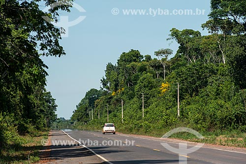  Snippet of BR-163 between Belterra and Santarem cities  - Belterra city - Para state (PA) - Brazil
