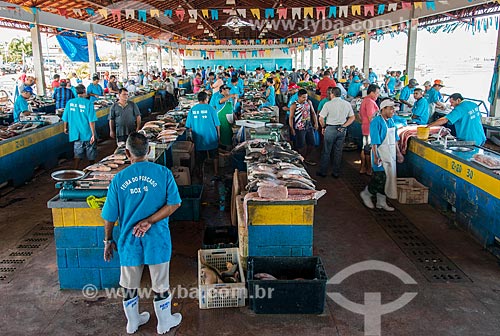  Fishs on sale - Fish Market of Santarem city  - Santarem city - Para state (PA) - Brazil