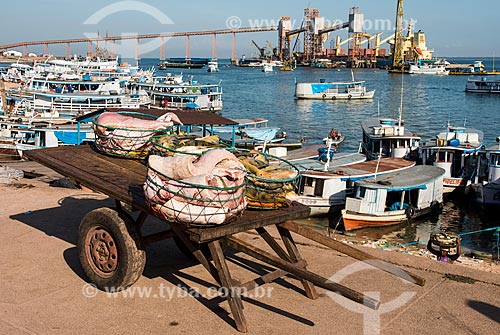  Fish basket coming to Fish Market of Santarem city with the Cargill Grain Terminal in the background  - Santarem city - Para state (PA) - Brazil