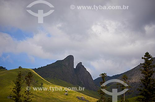  View of Morro Dois Bicos (Two Beaks Mountain) from Tres Picos State Park  - Teresopolis city - Rio de Janeiro state (RJ) - Brazil