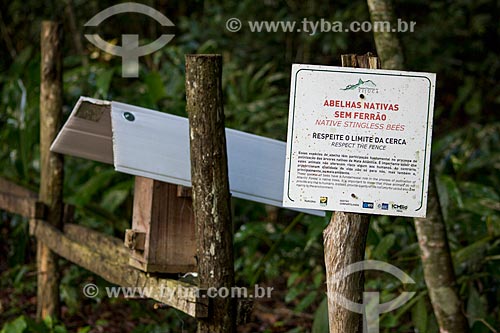  Meliponary - Colonies of stingless bees in the Tijuca Forest - Tijuca National Park  - Rio de Janeiro city - Rio de Janeiro state (RJ) - Brazil