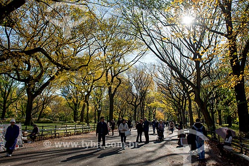  Person - Central Park  - New York city - New York - United States of America