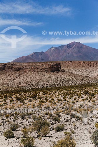  Desert near to Uyuni Salt Flat  - Uyuni city - Potosi department - Bolivia
