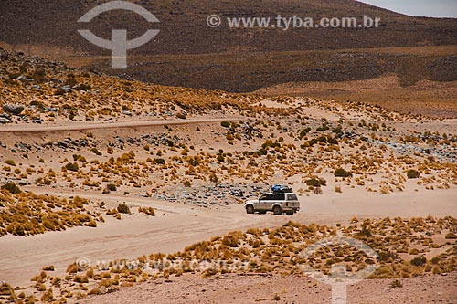  Car - desert near to Uyuni Salt Flat  - Uyuni city - Potosi department - Bolivia