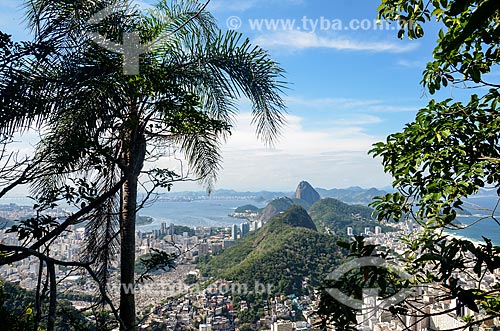  View of Chacrinha State Park from Cabritos Mountain (Kid Goat Mountain) with the Sugar Loaf in the background  - Rio de Janeiro city - Rio de Janeiro state (RJ) - Brazil