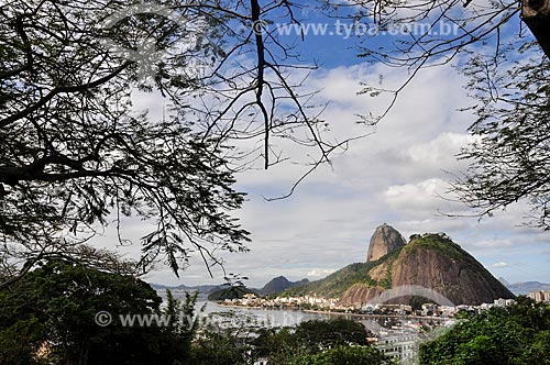  View of Sugar Loaf from Mirante of Pasmado  - Rio de Janeiro city - Rio de Janeiro state (RJ) - Brazil