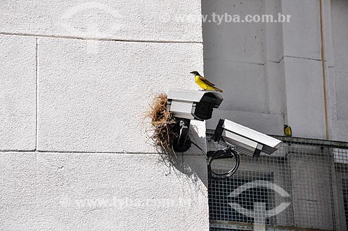  Nest of bananaquit (Coereba flaveola) - over security camera of the Sao Judas Tadeu Parish  - Rio de Janeiro city - Rio de Janeiro state (RJ) - Brazil