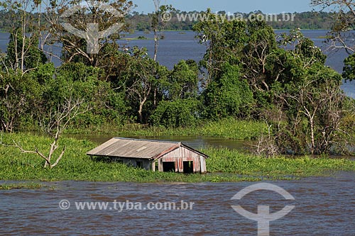  House on the banks of Amazonas River near to Parintins city during flood season  - Parintins city - Amazonas state (AM) - Brazil