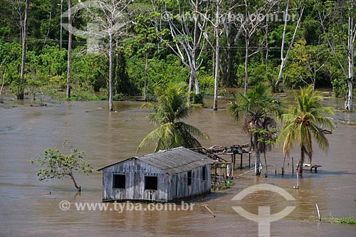  House on the banks of Amazonas River near to Urucara city during flood season  - Urucara city - Amazonas state (AM) - Brazil