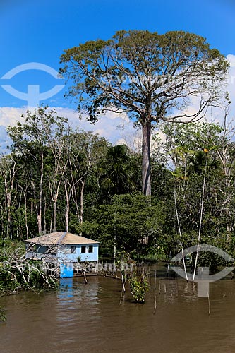  House on the banks of Amazonas River near to Urucara city during flood season  - Urucara city - Amazonas state (AM) - Brazil