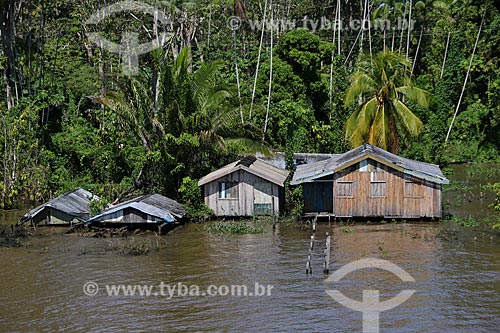  Houses on the banks of Amazonas River near to Urucara city during flood season  - Urucara city - Amazonas state (AM) - Brazil