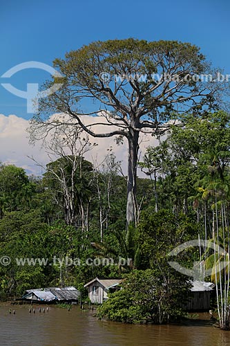  House on the banks of Amazonas River near to Urucara city during flood season  - Urucara city - Amazonas state (AM) - Brazil