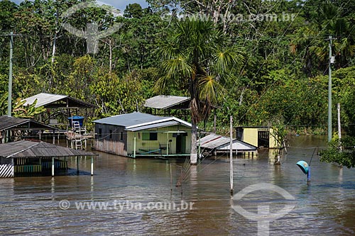  Houses on the banks of Amazonas River near to Urucara city during flood season  - Urucara city - Amazonas state (AM) - Brazil