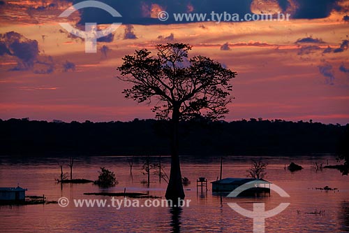  Dawn - Amazonas River - between the cities of Itacoatiara and Carero da Varzea  - Itacoatiara city - Amazonas state (AM) - Brazil
