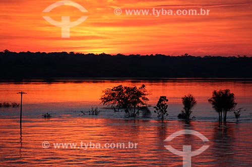  Dawn - Amazonas River - between the cities of Itacoatiara and Carero da Varzea  - Itacoatiara city - Amazonas state (AM) - Brazil