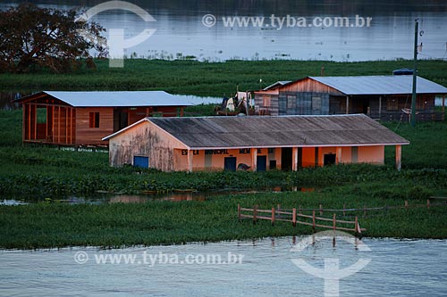  Houses and school - Nossa Senhora do Carmo Riparian Community - on the banks of Amazonas River - during flood season  - Itacoatiara city - Amazonas state (AM) - Brazil