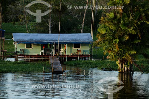  House - Nossa Senhora do Carmo Riparian Community - on the banks of Amazonas River - during flood season  - Itacoatiara city - Amazonas state (AM) - Brazil