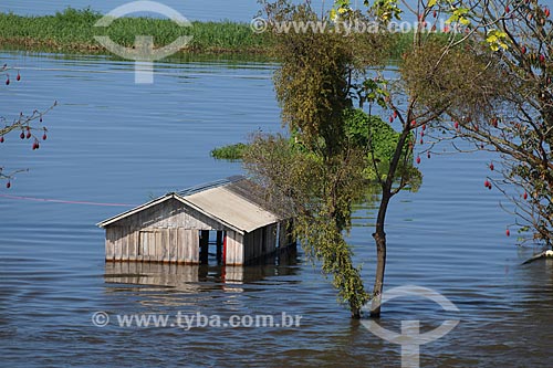  House - Riparian community on the banks of Amazonas River - during flood season  - Careiro da Varzea city - Amazonas state (AM) - Brazil