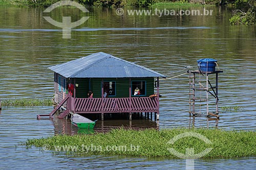  House - Riparian community on the banks of Amazonas River - during flood season  - Careiro da Varzea city - Amazonas state (AM) - Brazil