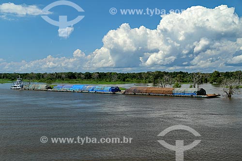  Ferry - Amazonas River  - Careiro da Varzea city - Amazonas state (AM) - Brazil