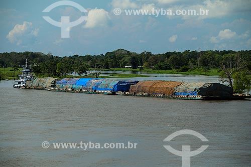  Ferry - Amazonas River  - Careiro da Varzea city - Amazonas state (AM) - Brazil