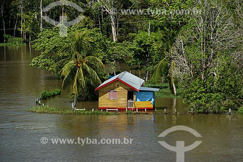  House - Riparian community on the banks of Amazonas River - during flood season  - Careiro da Varzea city - Amazonas state (AM) - Brazil