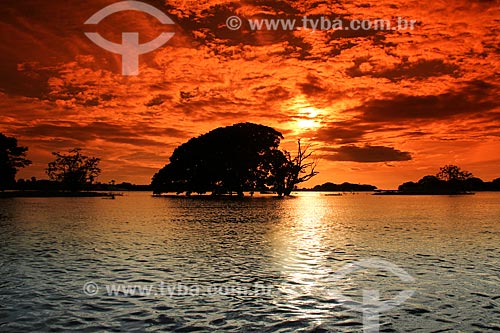  Sunset - Amazonas River  - Parintins city - Amazonas state (AM) - Brazil