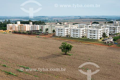  Soybean plantation - rural zone of londrina city with buildings in the background  - Londrina city - Parana state (PR) - Brazil