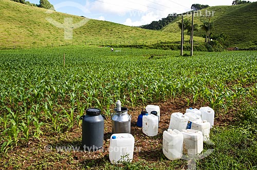  Pesticide application - Corn plantation near to Venda Nova do Imigrante city  - Venda Nova do Imigrante city - Espirito Santo state (ES) - Brazil