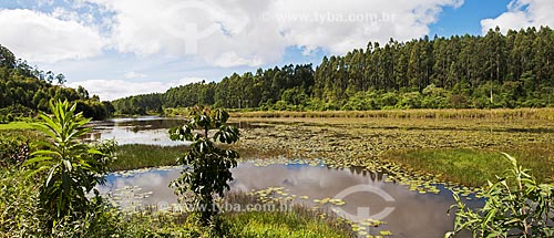  Little lake and Atlantic Rainforest vegetation  - Venda Nova do Imigrante city - Espirito Santo state (ES) - Brazil