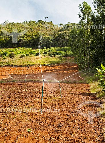  Pivot irrigation - yam plantation between Afonso Claudio and Laranja da Terra cities  - Afonso Claudio city - Espirito Santo state (ES) - Brazil