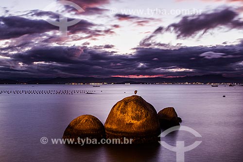  Rocks - Tapera Beach  - Florianopolis city - Santa Catarina state (SC) - Brazil