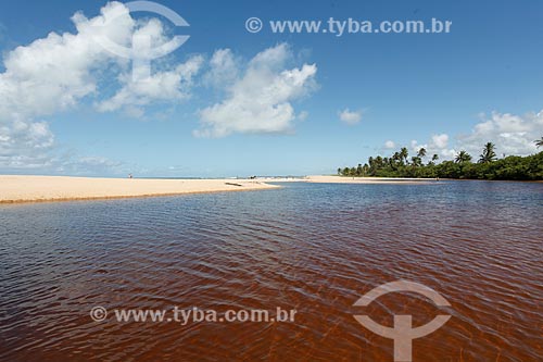 Timeantube River waterfront  - Mata de Sao Joao city - Bahia state (BA) - Brazil