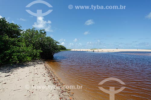  Timeantube River waterfront  - Mata de Sao Joao city - Bahia state (BA) - Brazil