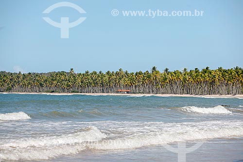  Coeira Beach  - Cairu city - Bahia state (BA) - Brazil
