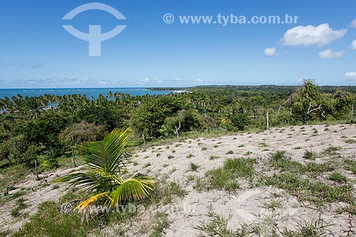  View of Coeira Beach  - Cairu city - Bahia state (BA) - Brazil