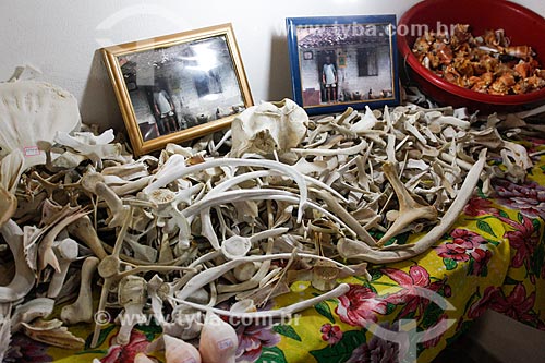  Bones in the Bone Museum (Museu do Osso)  - Cairu city - Bahia state (BA) - Brazil