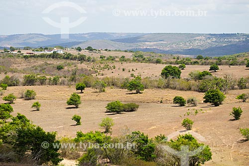 Landscape of caatinga in the Borborema plateau  - Solanea city - Paraiba state (PB) - Brazil