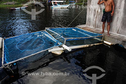  Oyster creation - Floating Bar - Town of Canavieiras  - Cairu city - Bahia state (BA) - Brazil
