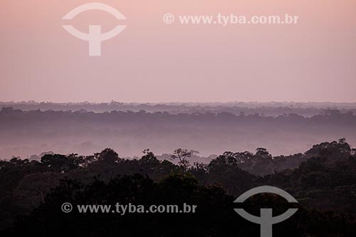  Dawn in the Amazon rainforest  - Sao Sebastiao do Uatuma city - Amazonas state (AM) - Brazil