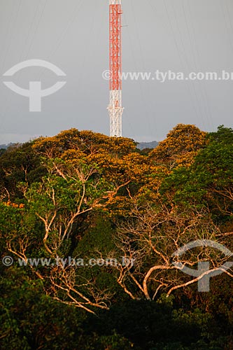  Atto tower (Amazon Tall Tower Observatory) - INPA Project (National Institute for Amazonian Research) together with the Max Planck Institute, Germany, and will be used to observe climate change in the region  - Sao Sebastiao do Uatuma city - Amazonas state (AM) - Brazil