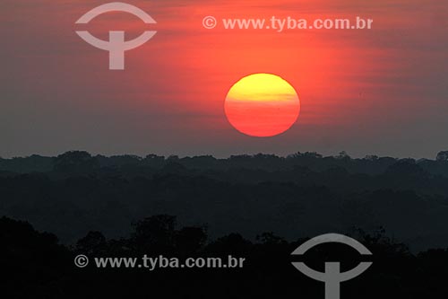  Sunset in the amazon rainforest  - Sao Sebastiao do Uatuma city - Amazonas state (AM) - Brazil